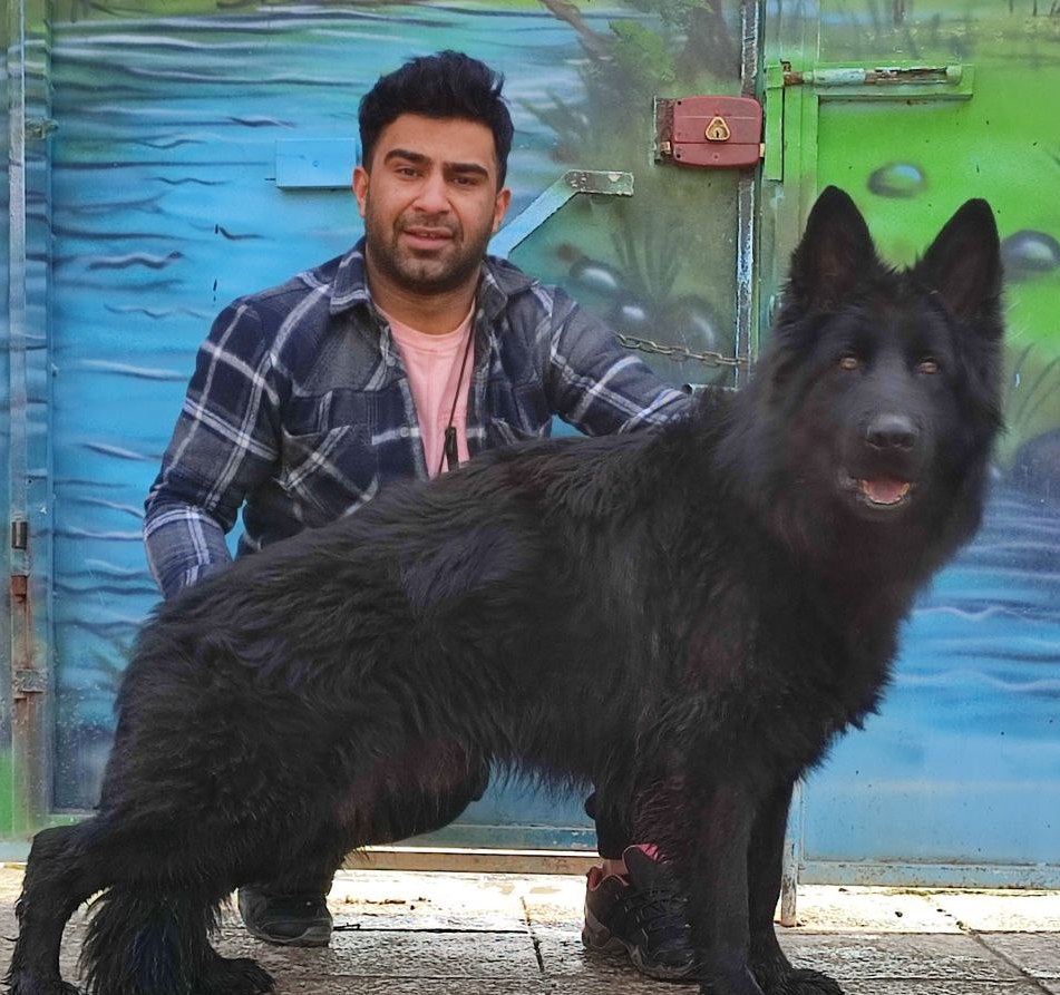 فروش سگ ژرمن شپرد فروش سگ ژرمن بلک