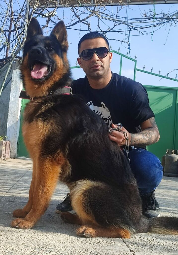 فروش سگ ژرمن شپرد فروش سگ ژرمن بلک